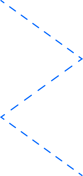 Vector